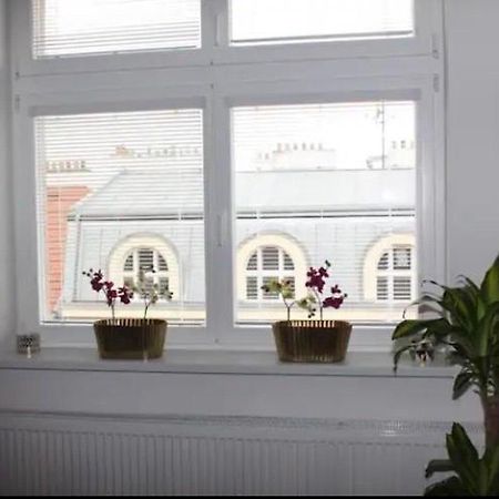 Lenka'S Cozy Red Studio + Lenka'S Cozy Gold Apartment Prag Eksteriør billede