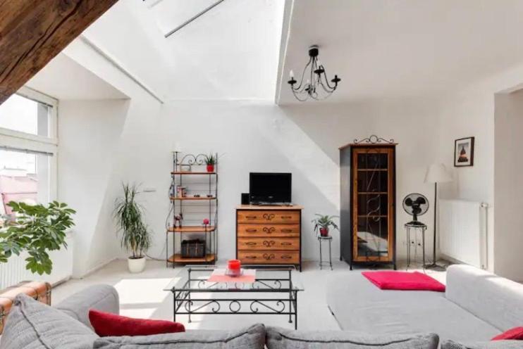 Lenka'S Cozy Red Studio + Lenka'S Cozy Gold Apartment Prag Eksteriør billede